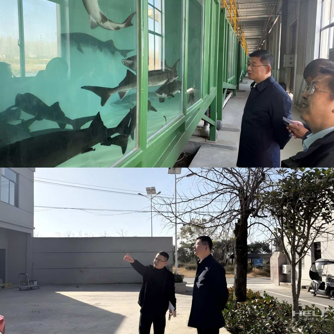 調研“智慧漁場”及社區集體經濟發展.png